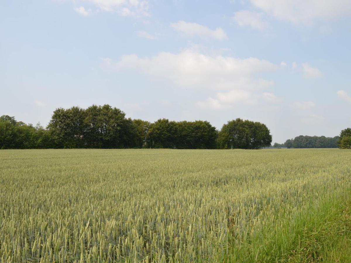Monumental Farm In The Ash Landscape Villa Geesteren  Exterior foto