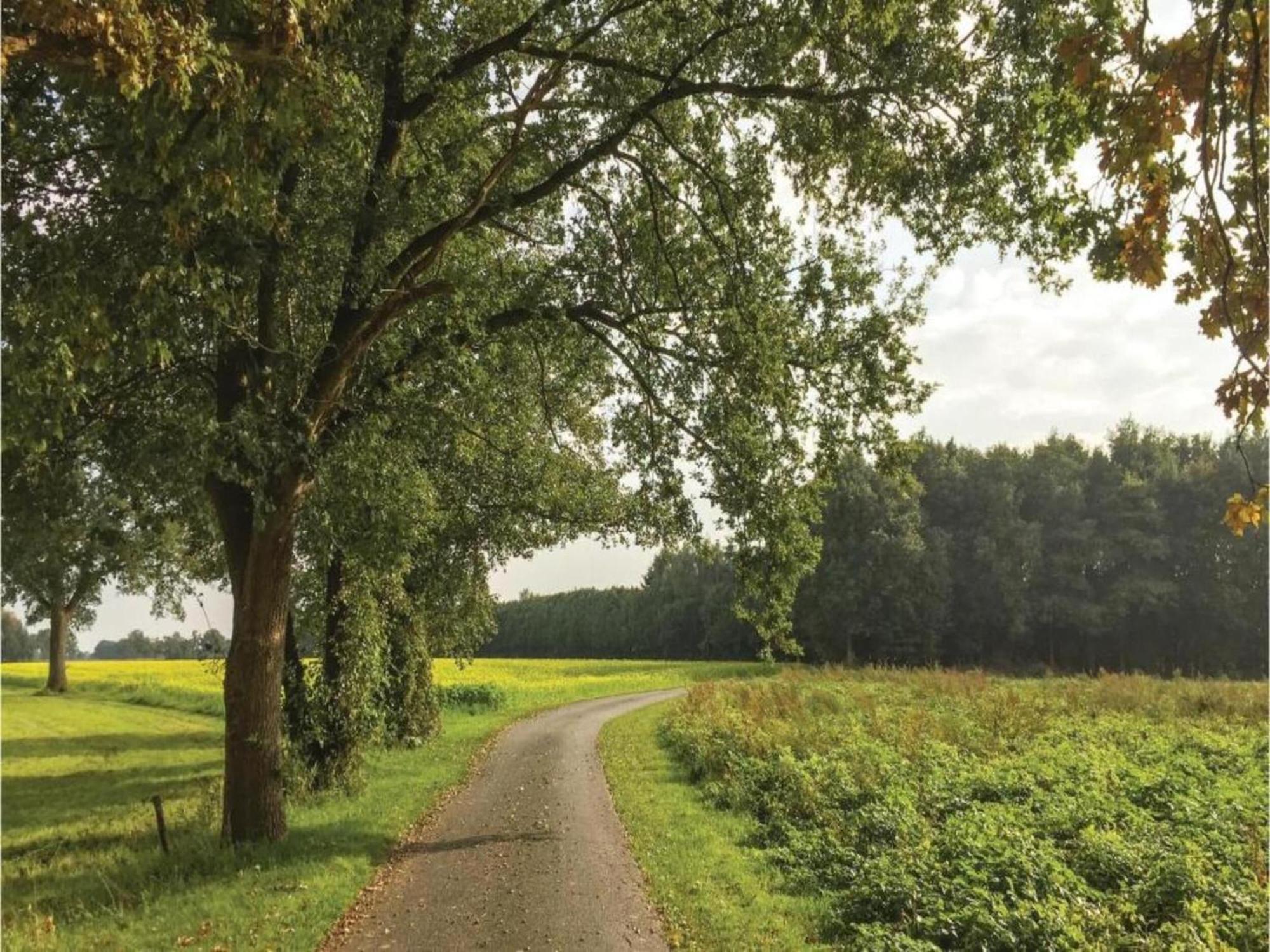 Monumental Farm In The Ash Landscape Villa Geesteren  Exterior foto