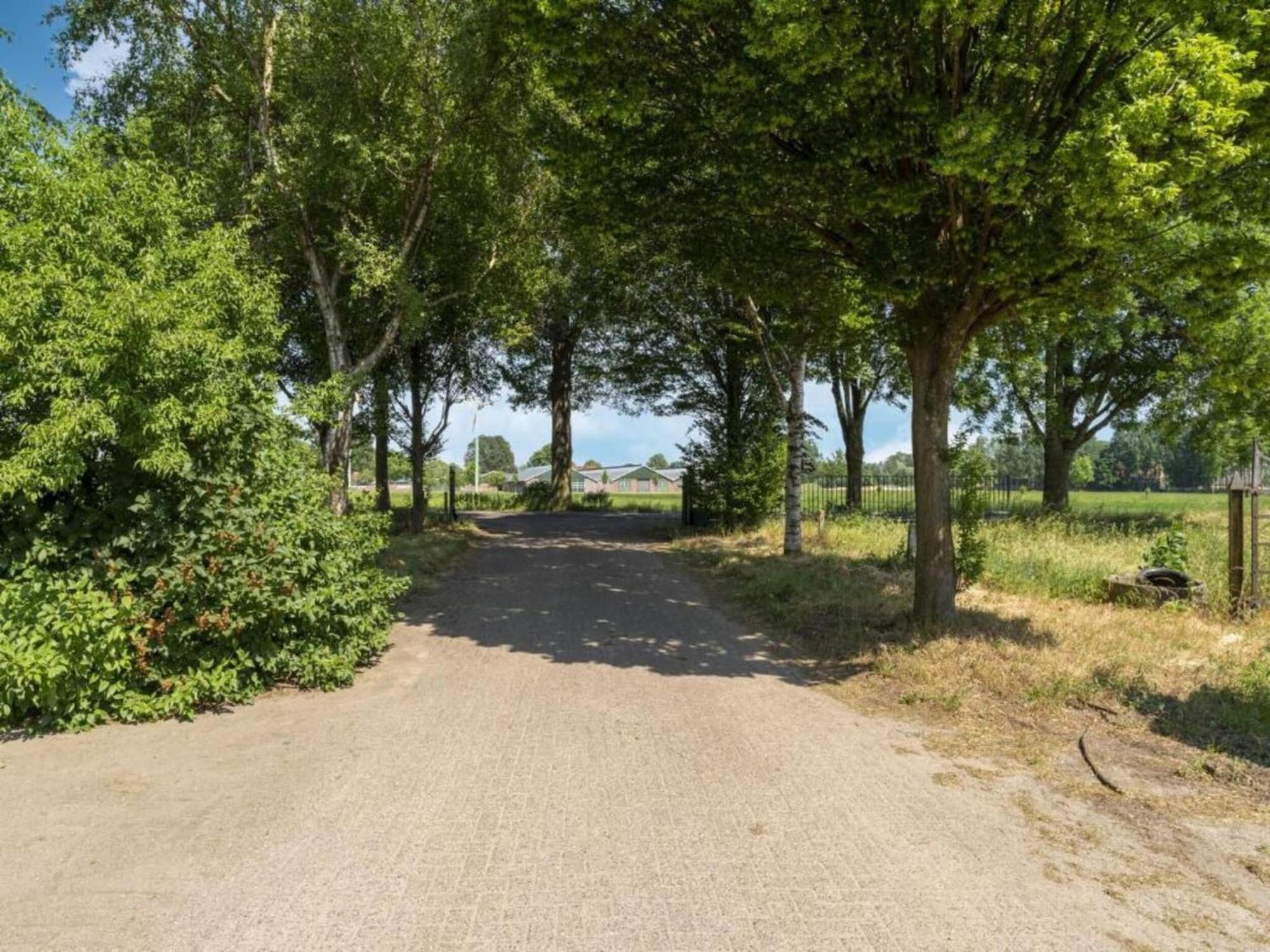 Monumental Farm In The Ash Landscape Villa Geesteren  Exterior foto