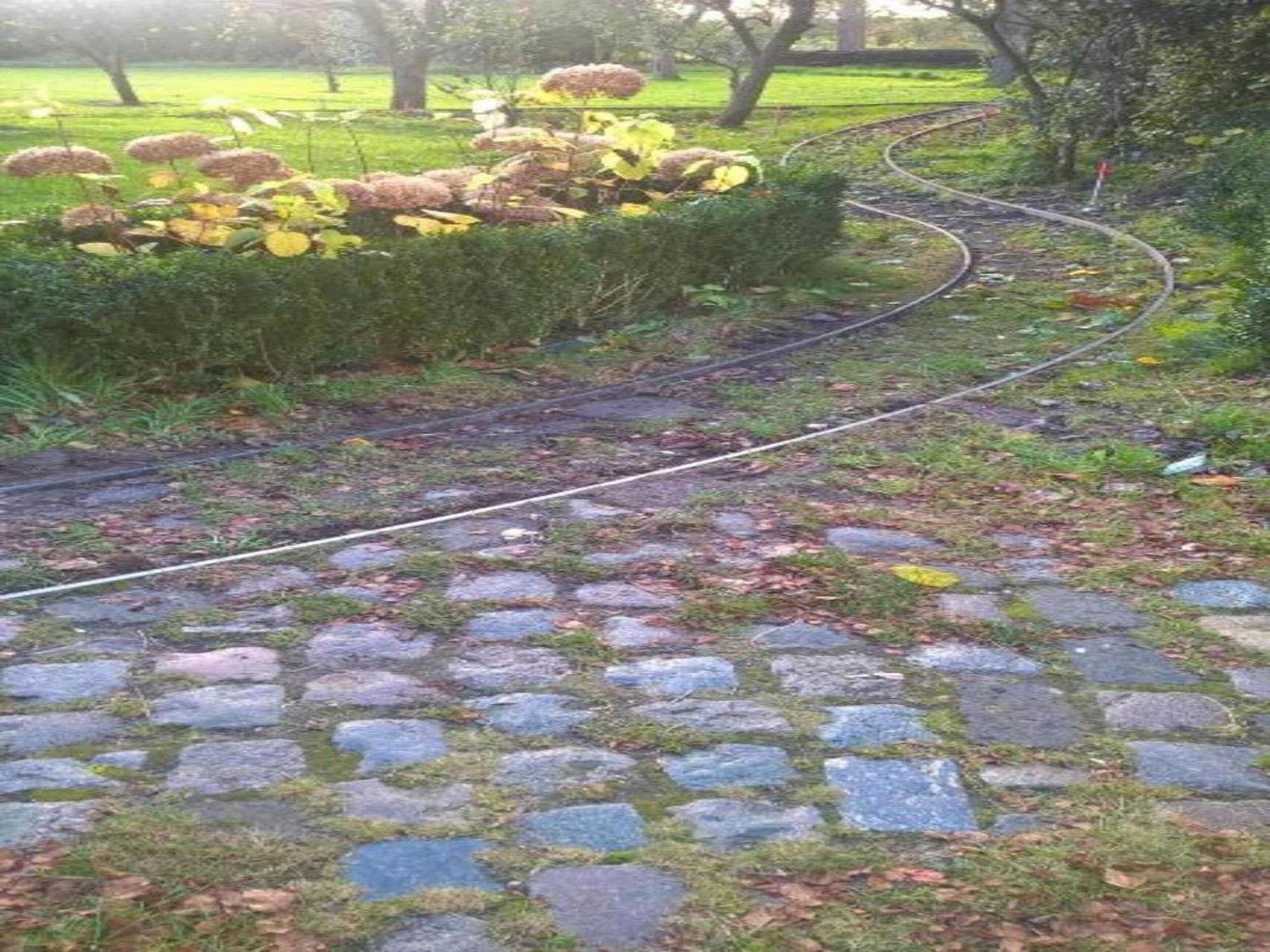 Monumental Farm In The Ash Landscape Villa Geesteren  Exterior foto