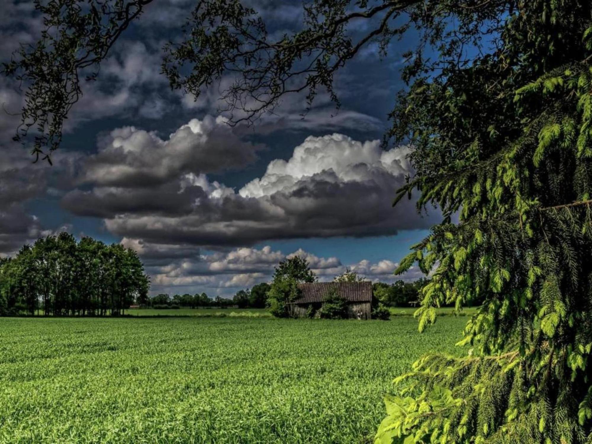 Monumental Farm In The Ash Landscape Villa Geesteren  Exterior foto